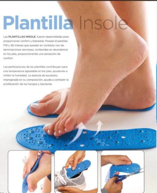Plantillas