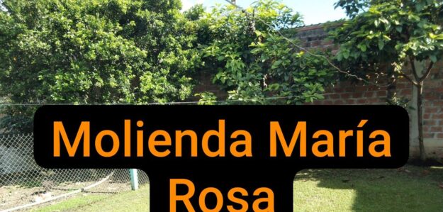 Molienda Maria Rosa