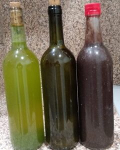 vino de mate y tratamientos de plantas