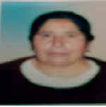 Papi pollo Piedad