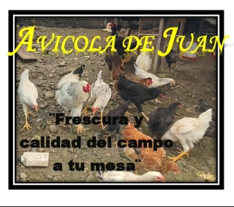 Avicola de Juan