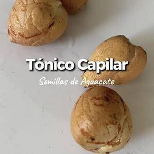 50 Pepas de Aguacate