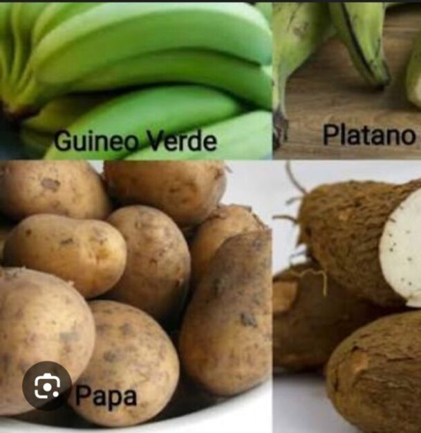 VENTA DE PRODUCTOS ORGANICOS