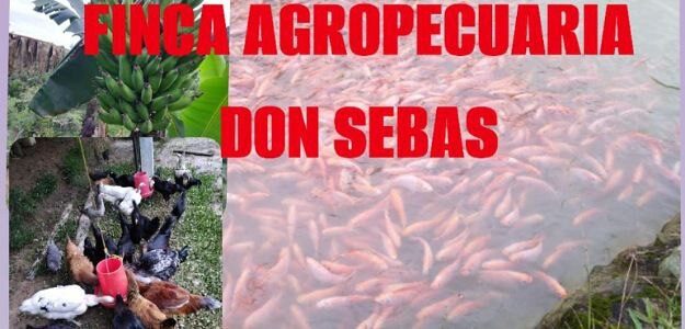 Finca Agropecuaria Don Sebas