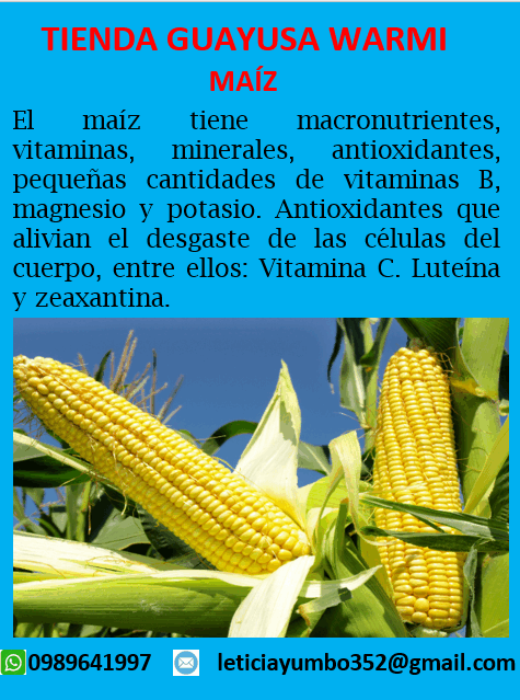 Maíz