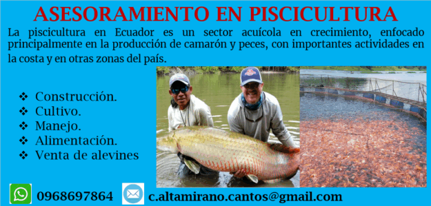 Asesoramiento en piscicultura