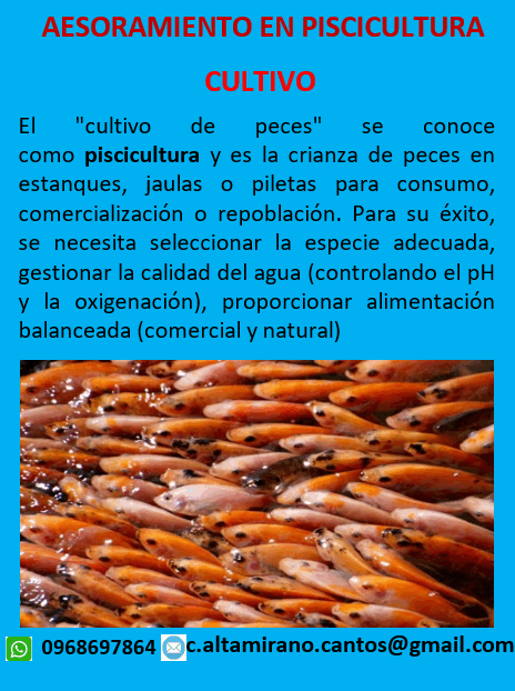 Asesoramiento Cultivo