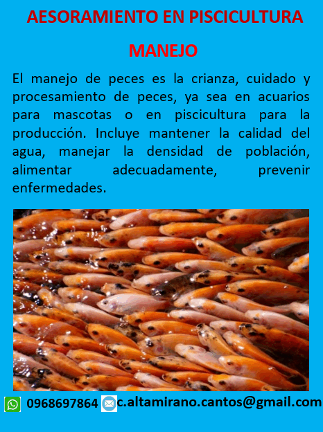 Asesoramiento Manejo