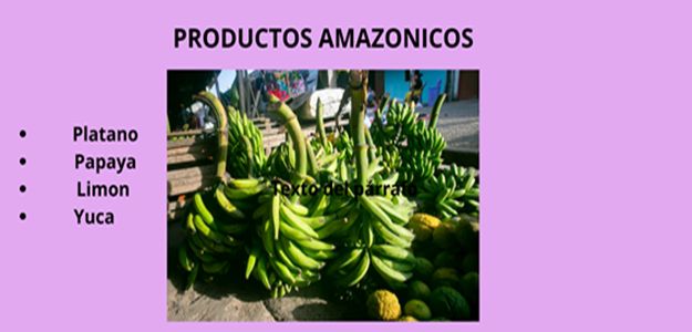 Productos Amazónicos