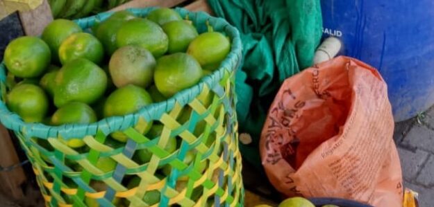 PRODUCCION AGROPECUARIA Y COMERCIALIZACION