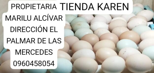 TIENDA KAREN