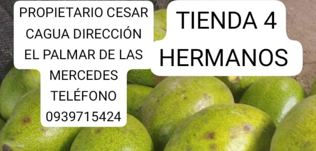 TIENDA 4 HERMANOS