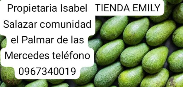 Tienda Emily