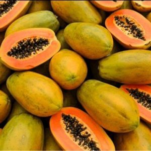 Papaya