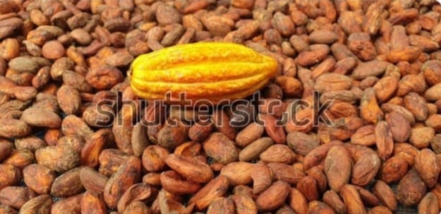 Venta de cacao