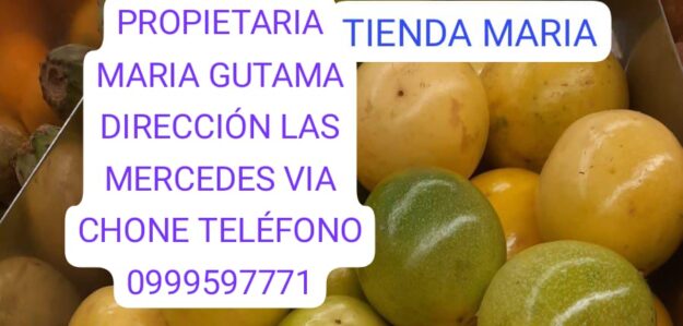 Tienda Maria