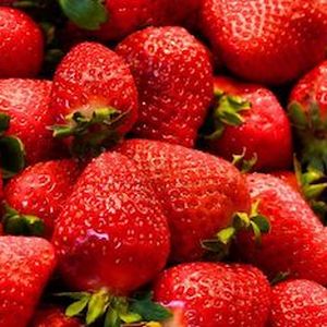Frutilla