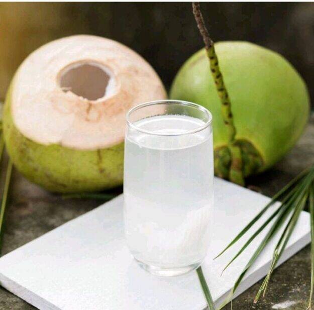 NEGOCIO REY COCO