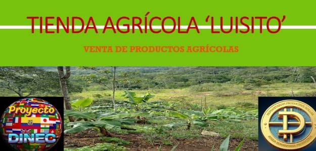 Comercio Luisito
