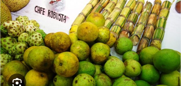 Venta de productos de la zona Elvita