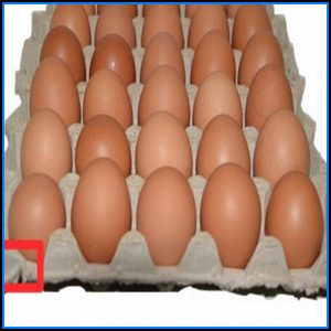 Cubetas de huevos