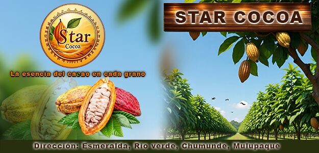 Star Cocoa