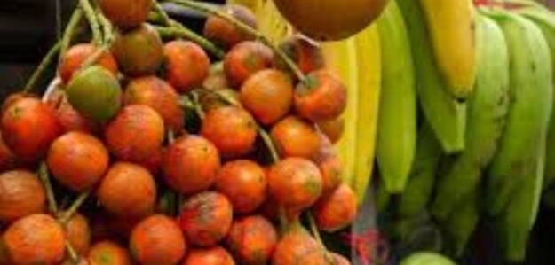 NEGOCIO DE PRODUCTOS DE LA AGRICULTURA