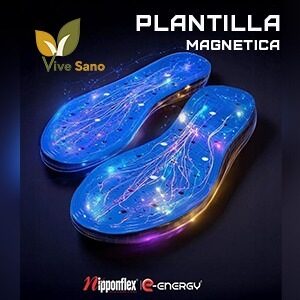 Plantilla magnƩtica