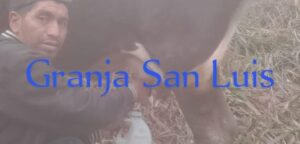 Granja San Luis