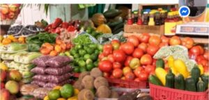 Tienda agrícola