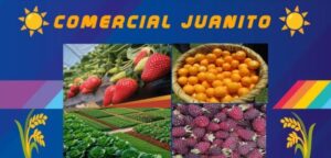 Frutas Juanito